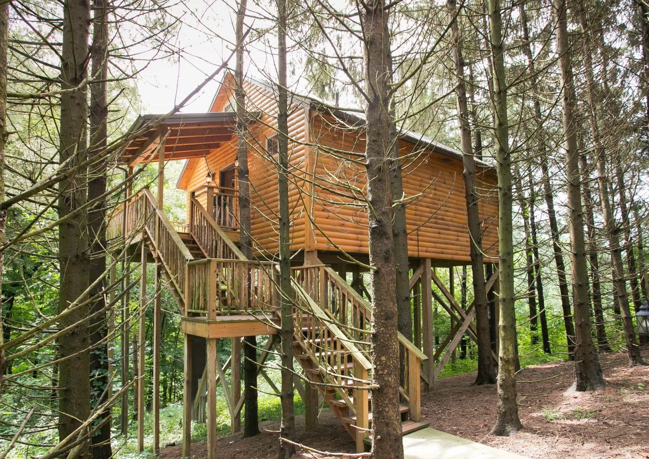 Whispering Pines Treehouse nestled among the pines at Pine Cove